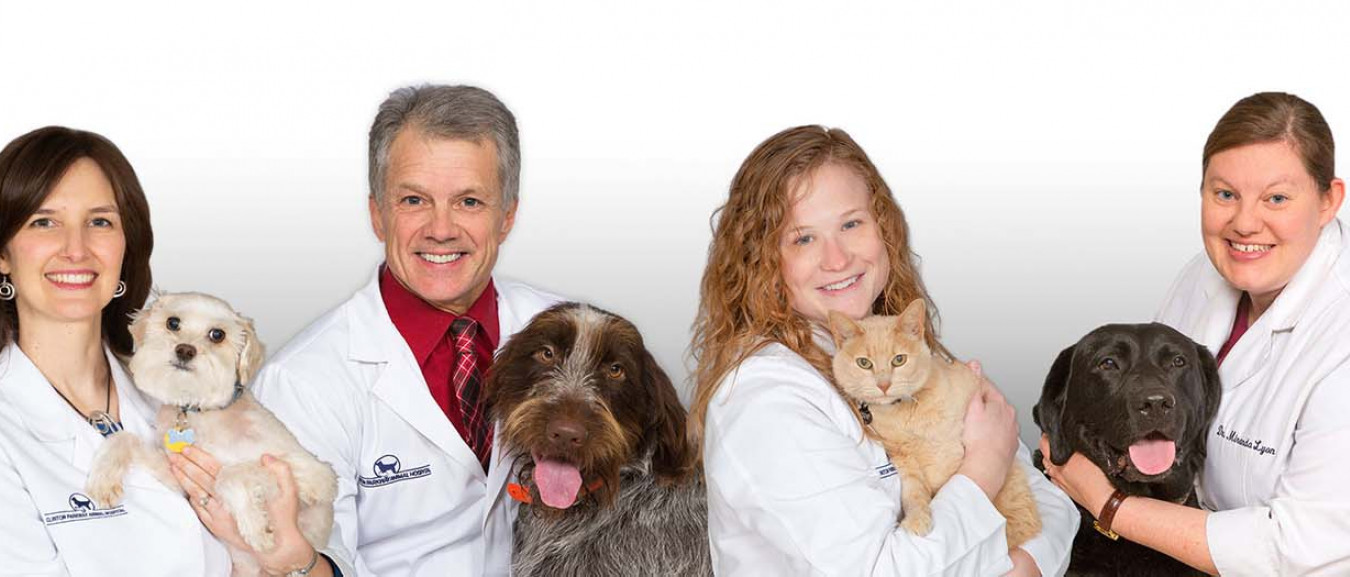Clinton Parkway Animal Hospital | Veterinarian, Lawrence KS